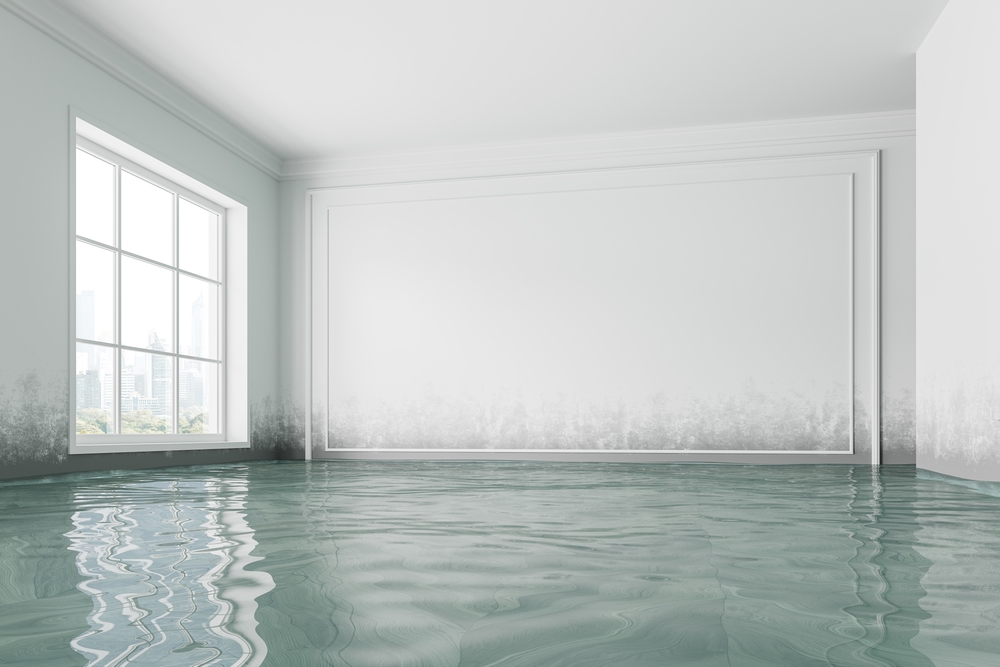 Water-Damage-Restoration-Vineland-nv